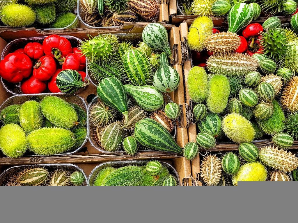 អត្ថប្រយោជន៍នៃស៊ីសង្រ្គាមសម្រាប់សណ្តែក