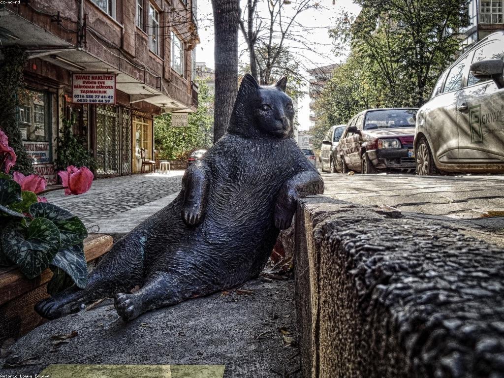 ស៊ីសង្រ្គាមក្នុងរបបអាហារថ្មី